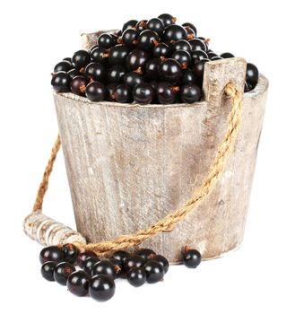 Black currant in a wooden bucket on white background