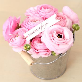 Flowers, rose. Beautiful, pink bouquet in the pot