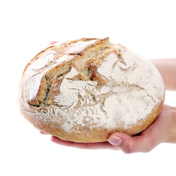 Delicious loaf on a white background