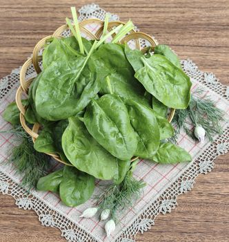 Fresh spinach leaves in a wicker basket