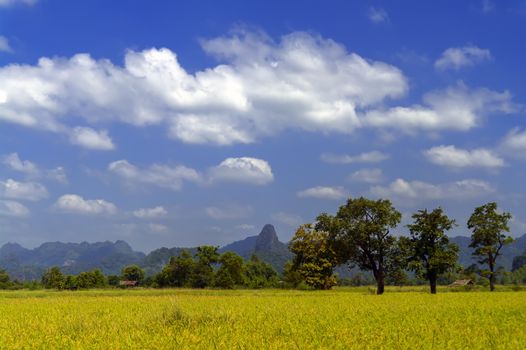 Sky, Fields, Hills. Roads of Laos Khammouane province. 