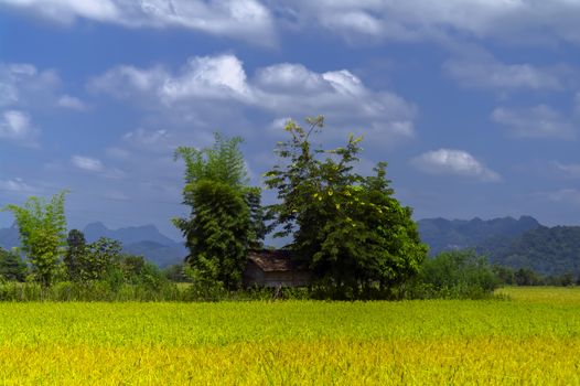 Small Lao House. Roads of Laos. Khammouane province. 