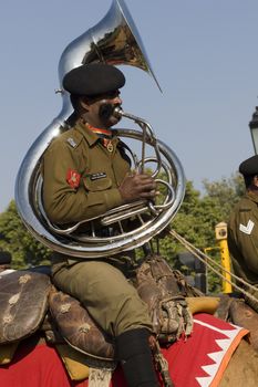 Man of the Indian Army Camel Corps playing a large brass instrument whilst marching down the Raj Path in preparation for Republic Day Parade in Delhi, India