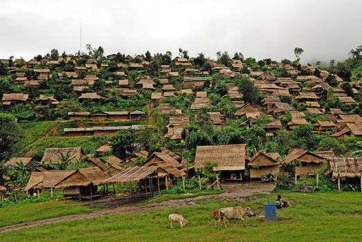 Refugee camps in Thailand.