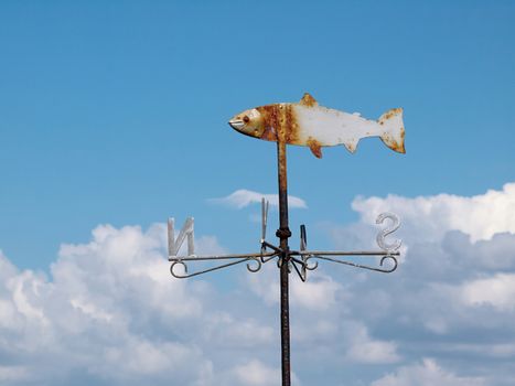 Marine weather vane shaped like a fish blue sky background