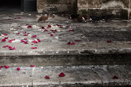 Just married: rose petals and rice grains on the steps of a staircase