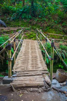 The bamboo  bridge in Indonesian rain forrest