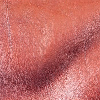 Leather background in close up, square image