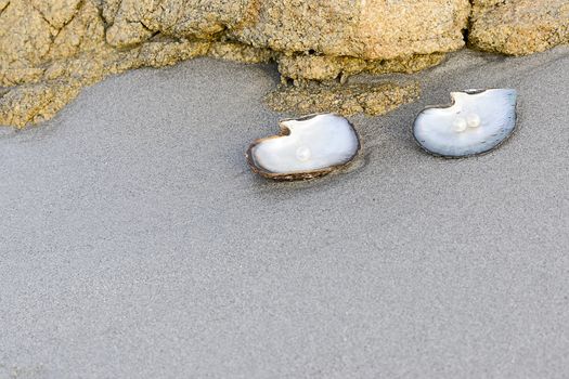 Sea shell with pearl on the sandy beach. Oysters and pearls of origin Japan.