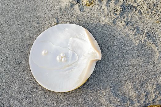 Sea shell with pearl on the sandy beach. Oysters and pearls of origin Japan.