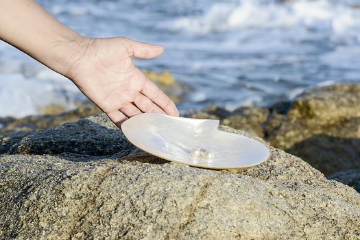 Sea shell with pearl on the sandy beach. Oysters and pearls of origin Japan.