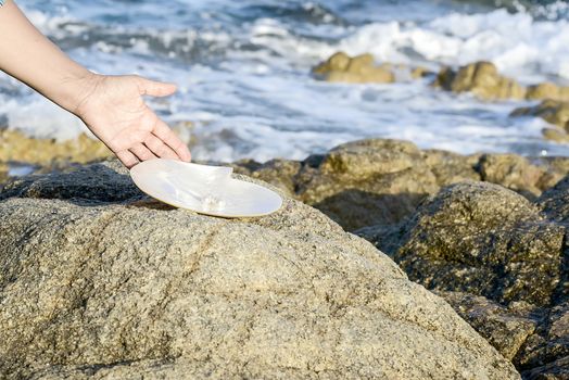 Sea shell with pearl on the sandy beach. Oysters and pearls of origin Japan.