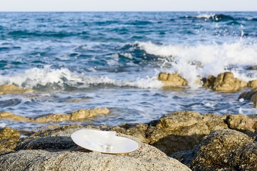 Sea shell with pearl on the sandy beach. Oysters and pearls of origin Japan.