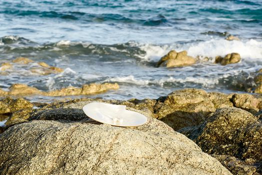 Sea shell with pearl on the sandy beach. Oysters and pearls of origin Japan.