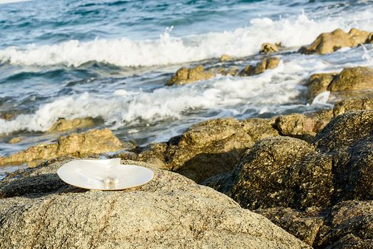 Sea shell with pearl on the sandy beach. Oysters and pearls of origin Japan.