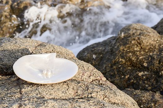 Sea shell with pearl on the sandy beach. Oysters and pearls of origin Japan.