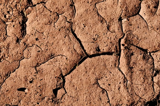 cracked dried ground