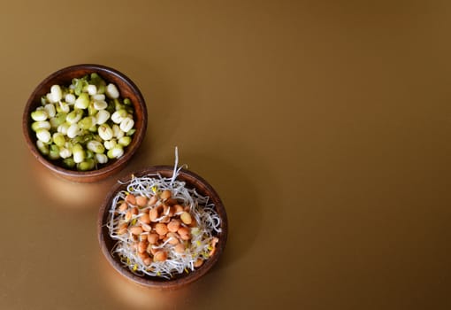 sprouts