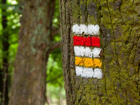 Czech tourist signage - red and yellow mark on the tree bark