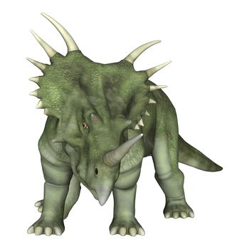 3D digital render of a dinosaur Styracosaurus or spiked lizard, a genus of herbivorous ceratopsian dinosaur from the Cretaceous Period (Campanian stage) isolated on white background