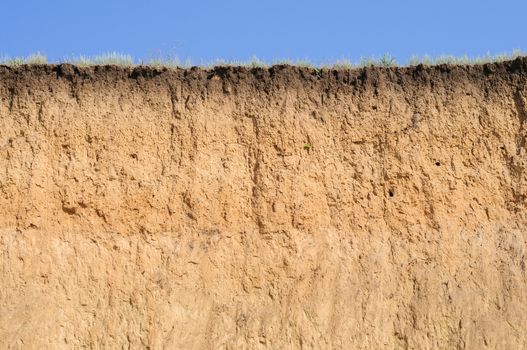 Cut of soil with different layers visible and grass on top