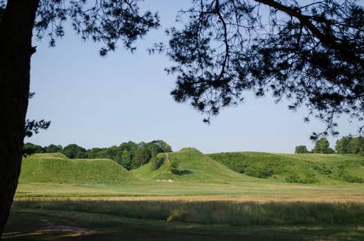 Pine tree branches move in wind and landscape of hill mound in Kernave, Lithuania.