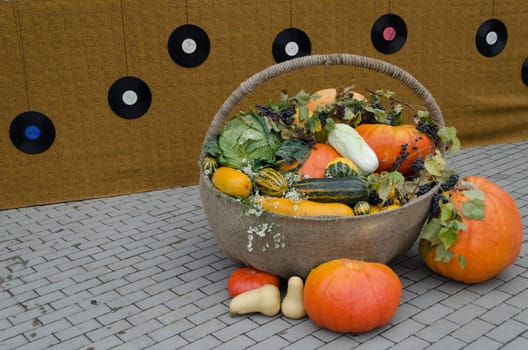 autumn harvest decoration of big variety garden vegetable in wicker backet