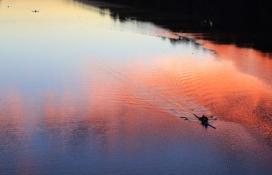 Silhouetted kayaks and rowers on the river at sunrise, their oars creating beautiful patterns and textures in the water reflecting the colours of the sunrise sky