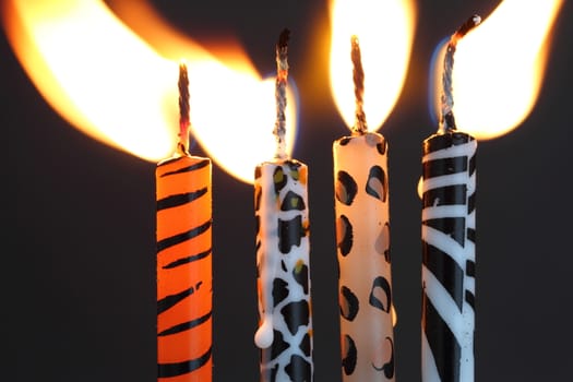 Animal print candles