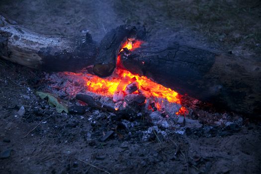 Embers of bonfire in the evening