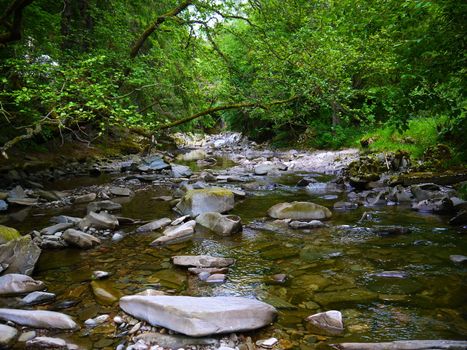 River deep in mountain forest. Nature composition.