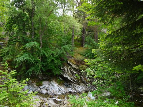 River deep in mountain forest. Nature composition.