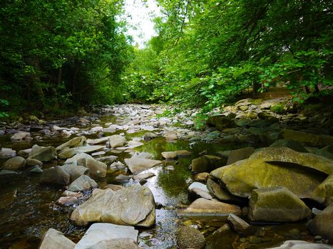 River deep in mountain forest. Nature composition.