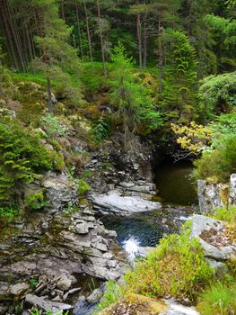 River deep in mountain forest. Nature composition.