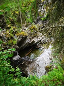 River deep in mountain forest. Nature composition.