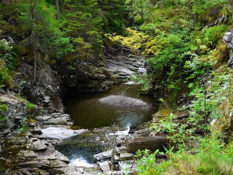 River deep in mountain forest. Nature composition.