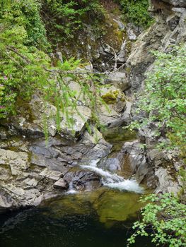 River deep in mountain forest. Nature composition.