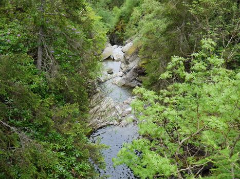 River deep in mountain forest. Nature composition.