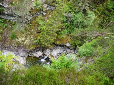 River deep in mountain forest. Nature composition.