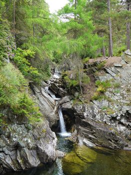 River deep in mountain forest. Nature composition.