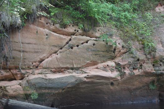 Birds nest in mountains in Sigulda's river