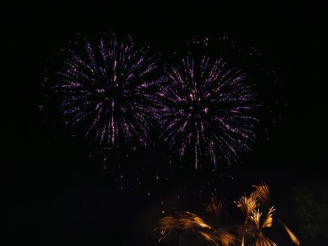 Colorful fireworks on the black sky for new year