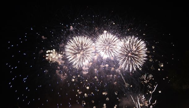 Colorful fireworks on the black sky for new year