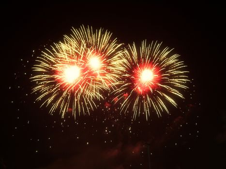 Colorful fireworks on the black sky for new year