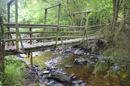 wooden forest bridge through forest river in scotland
