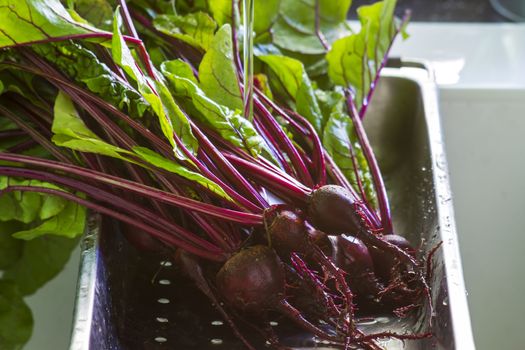 red beets in the kitchen sink 