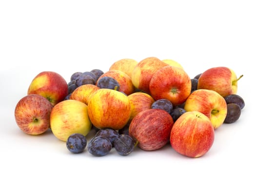 fresh fruits - apples and plums on white background