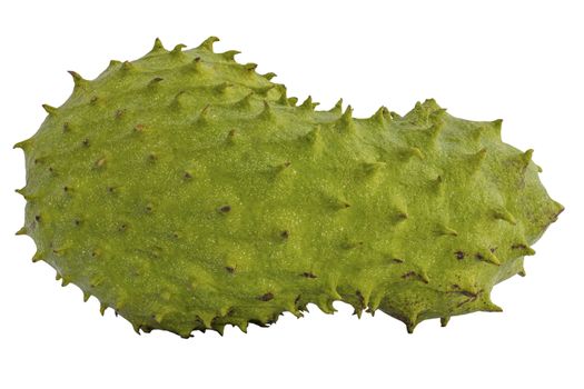 Soursop or Prickly Custard Apple  or Durian belanda (Annona muricata L.) fruit isolated on white background with clipping path