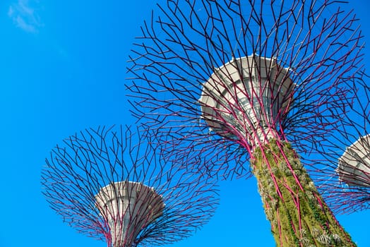 SINGAPORE - JUNE 01, 2014: Supertrees at Gardens by the Bay. Over 162,900 plants planted on the 18 Supertrees.