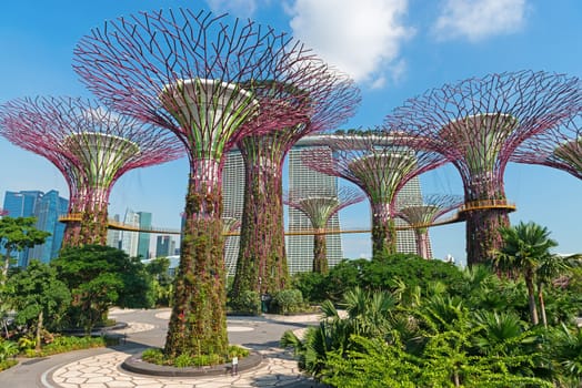 SINGAPORE - JUNE 01, 2014: Supertrees Grove at Gardens by the Bay park. Over 162,900 plants planted on the 18 Supertrees.